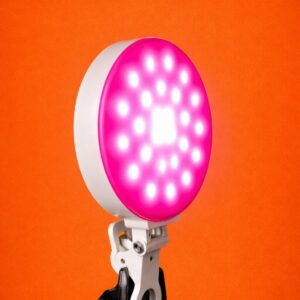 LED RONDE